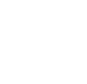 POLIZZA AUTO