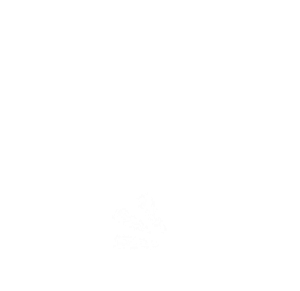 POLIZZA INFORTUNI